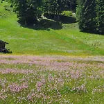Mountainview Mit Balkon Und Carport *