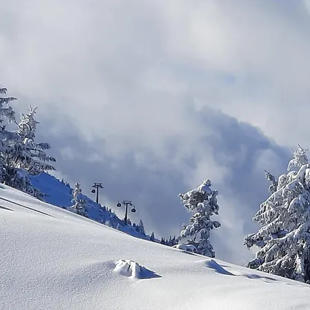 Mountainview Mit Balkon Und Carport Apartman Flachau