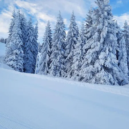 Lejlighed Philips Flachau