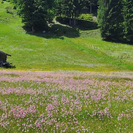 Mountainview Philips Mit Carport *