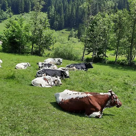 Mountainview Philips Mit Carport * フラッハウ