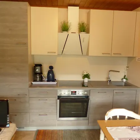 Mountainview Mit Balkon Und Carport * Flachau