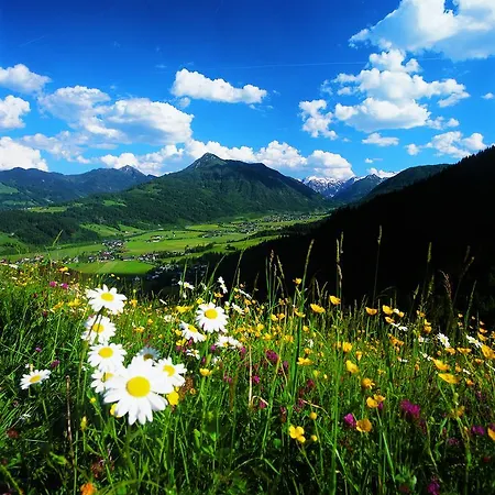 Mountainview Philips Mit Carport * フラッハウ