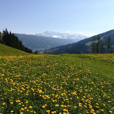 Philips * Flachau