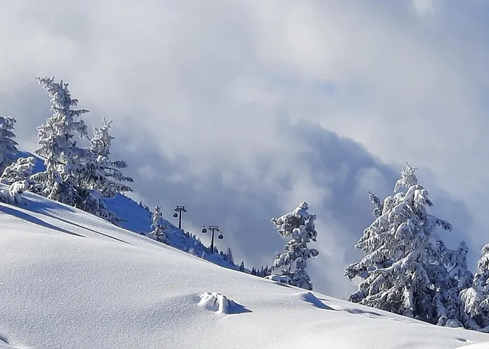 Mountainview Mit Balkon Und Carport Apartman Flachau