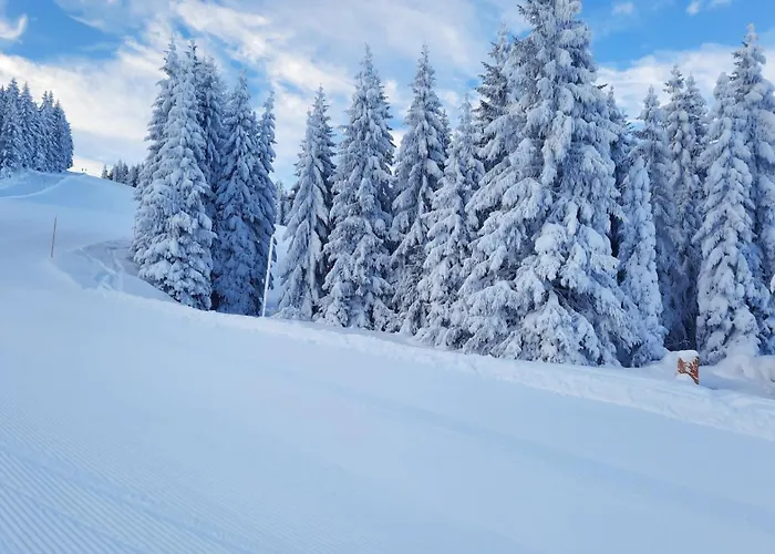 Apartman Mountainview Mit Balkon Und Carport Flachau