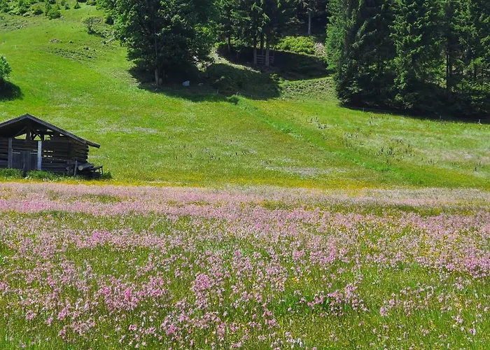 Mountainview Mit Balkon Und Carport *