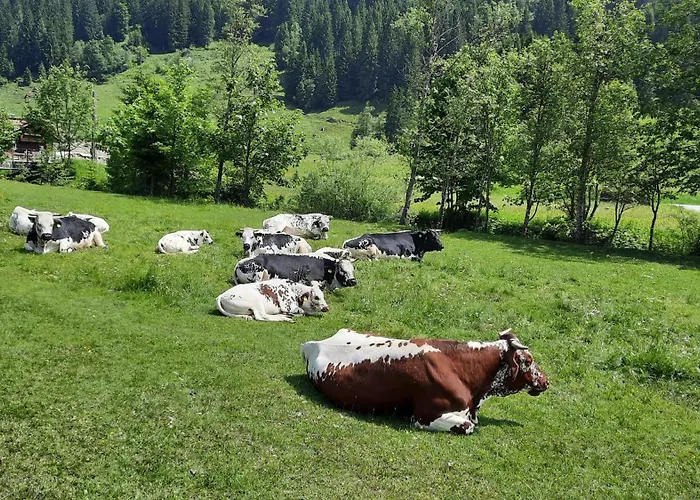 Mountainview Mit Balkon Und Carport * Flachau