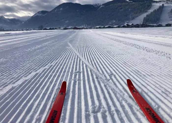 Mountainview Mit Balkon Und Carport Flachau